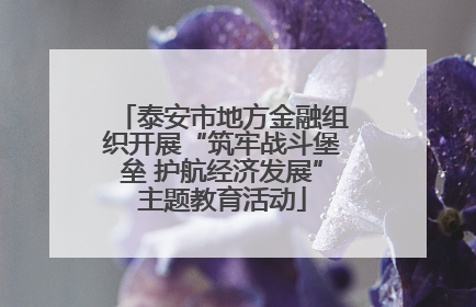 泰安市地方金融组织开展“筑牢战斗堡垒 护航经济发展”主题教育活动